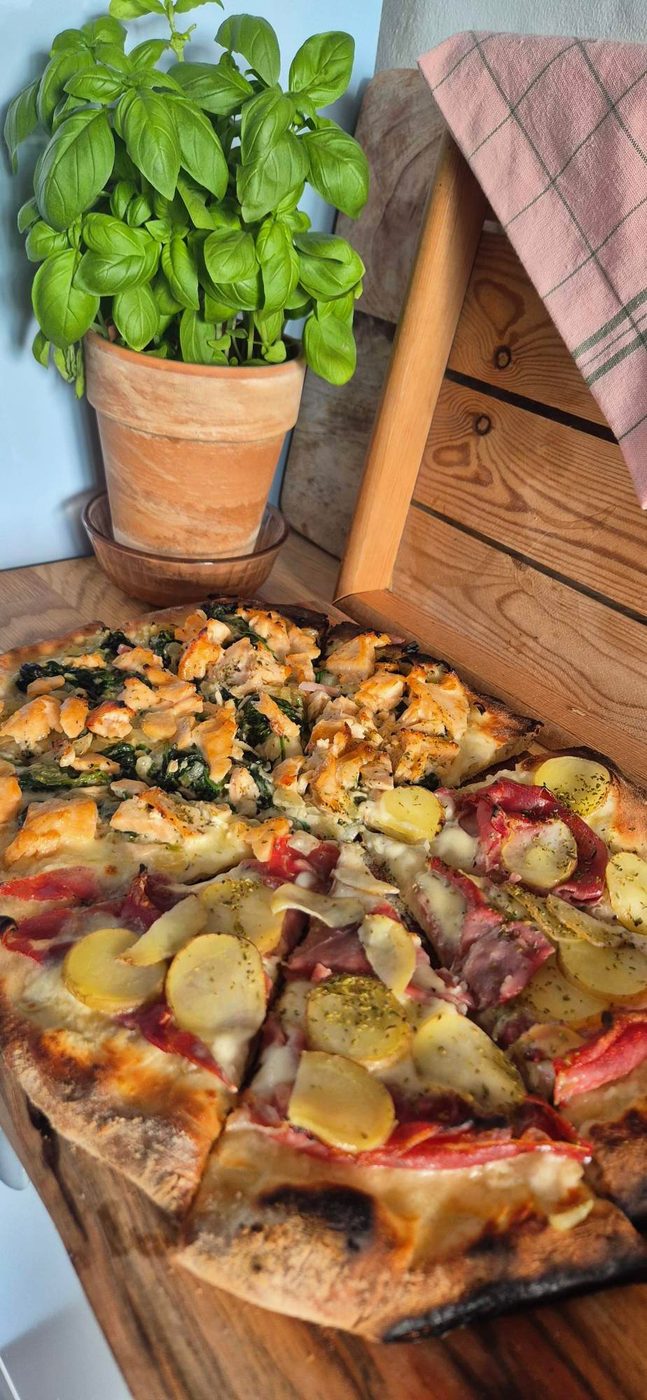 Hjemmelavet pizza med basilikum i baggrunden